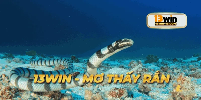 Trải nghiệm người chơi chia sẻ về mơ thấy rắn tại 13win.